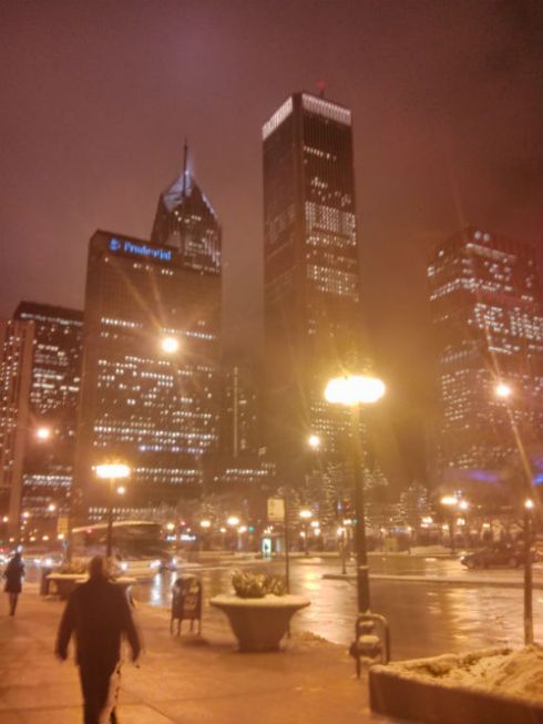 The Chicago Skyline